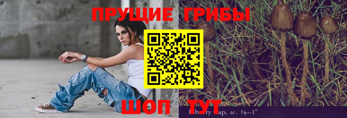 сколько стоит  Вход с VPN  Галлюциногенные грибы MAGIC MUSHROOMS  Элиста  Псилоцибиновые грибы GOLDEN TEACHER 