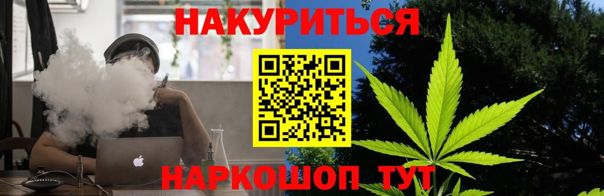 Каннабис планчик Элиста